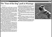 Advertiser News - Year of the Dog