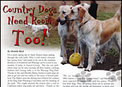 Sussex County Publication Story