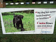 Canine Fence