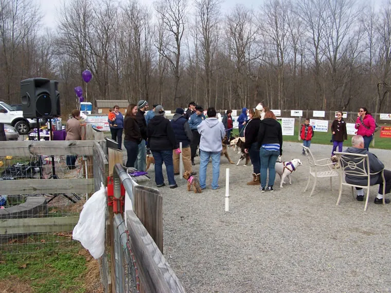 Events, photo 7 of 26
