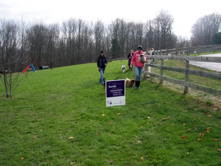 Events, photo 12 of 26