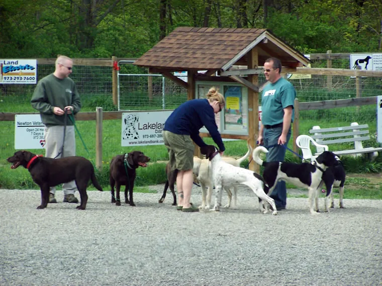 Our Primary Guests, photo 9 of 46