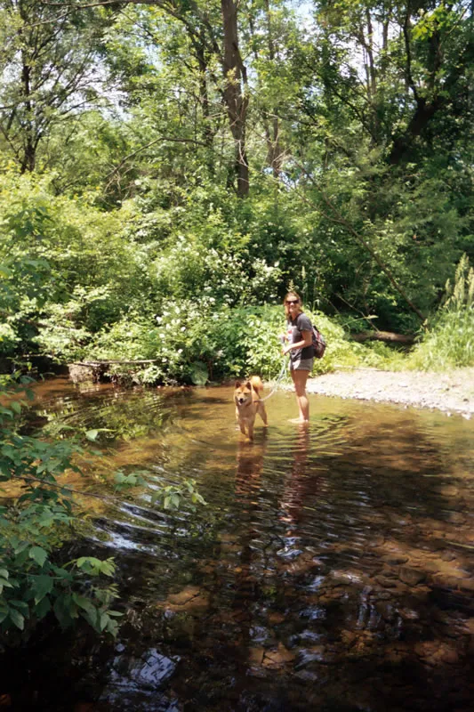 A visitor and her dog standing in the shallow brook