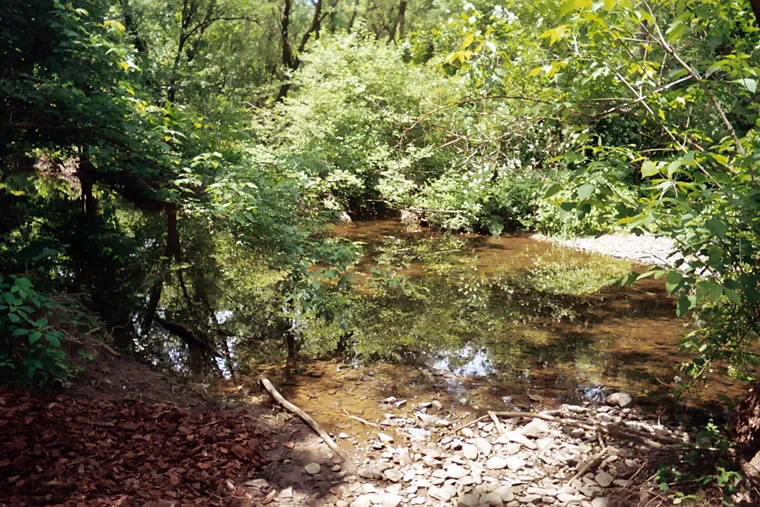 Wading Creek, photo 2 of 5