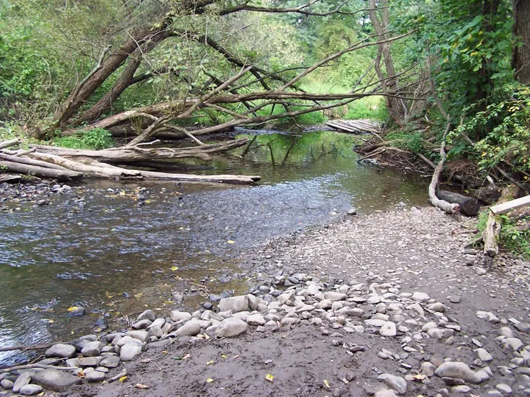 Wading Creek, photo 4 of 5