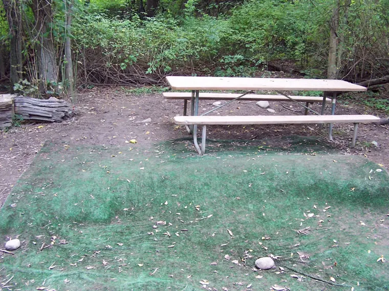 Wading Creek, photo 5 of 5